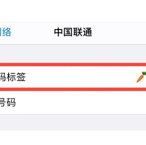 苹果11双卡怎么关闭一个卡