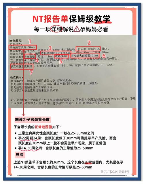 pg库int2范围