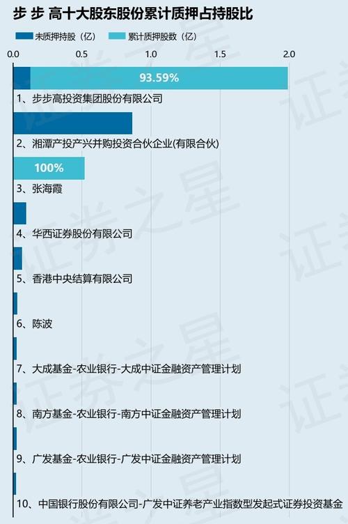 步步高最大股东是谁缩略图
