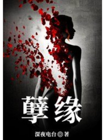小说《孽缘》