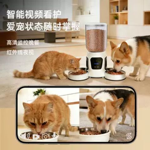 换猫后摄像头连不上网了