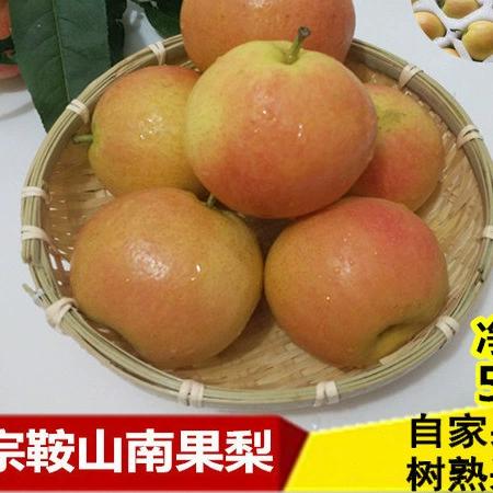 安国梨和南果梨一样吗