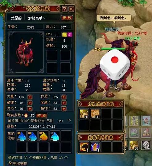 自由幻想圣隐形翅膀缩略图