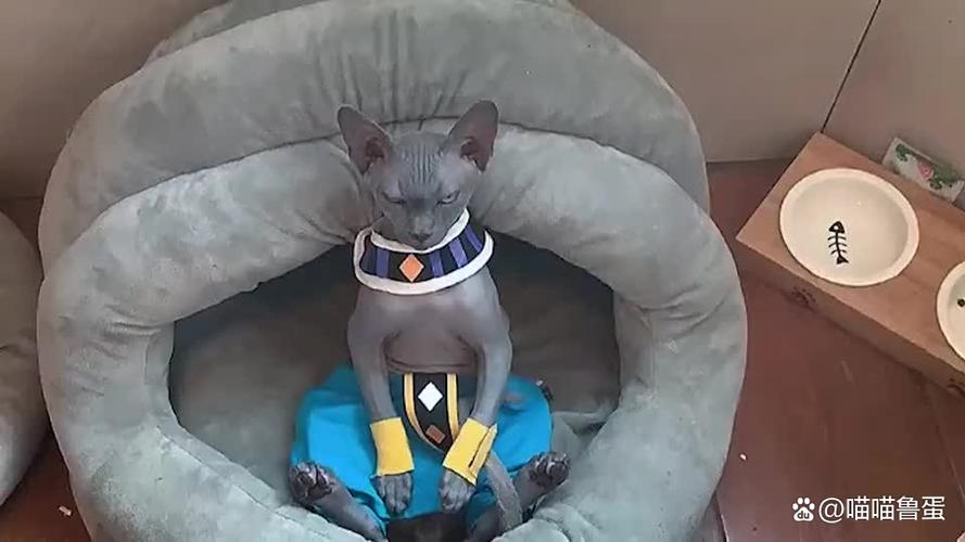 莲花迟梦by斯芬克猫缩略图