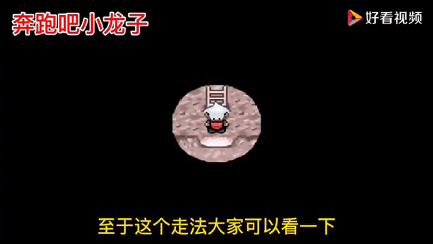 口袋妖怪蛇纹木攻略