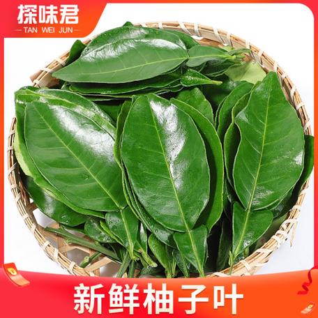 柚子叶在哪里买