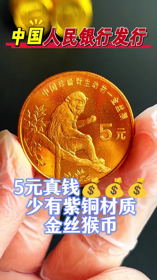 5元硬币哪年最稀少