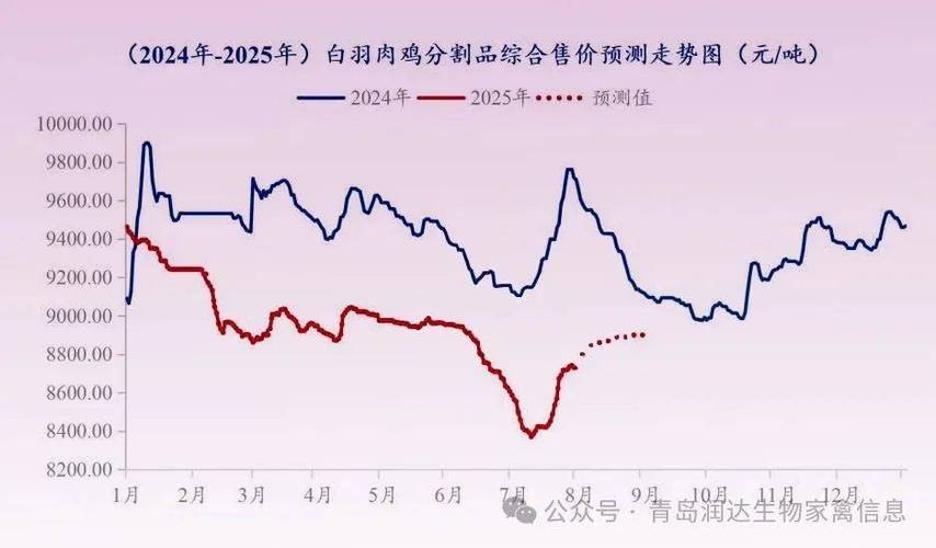 2026年养鸡会暴涨吗缩略图