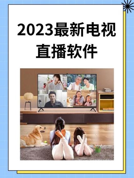 衡星电视TV306版最新版本更新内容及更