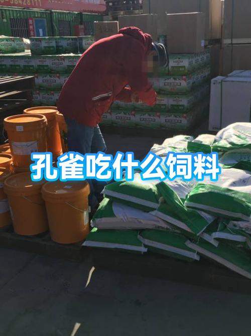 孔雀吃什么饲料