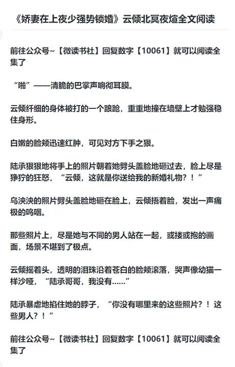 云倾北冥夜煊全本大结局