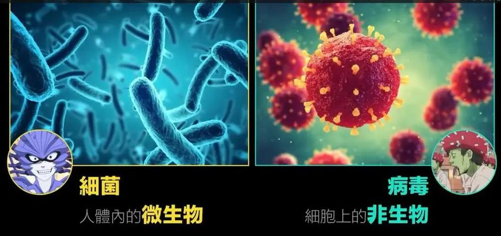 细菌和病毒有区别吗