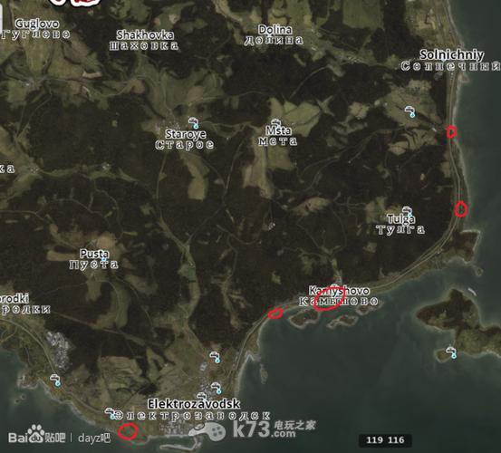 dayz手机版在哪下
