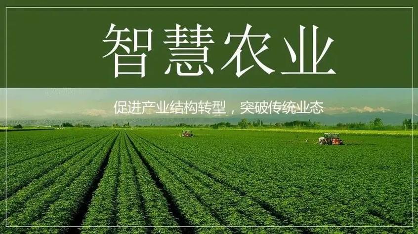 一米智慧是做什么的