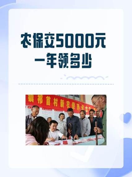 农保交5000元一年领多少