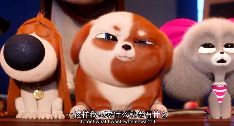 爱宠大机密1普通话高清免费观看