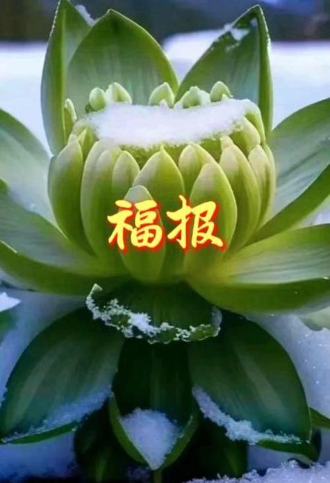 所谓的福报是什么