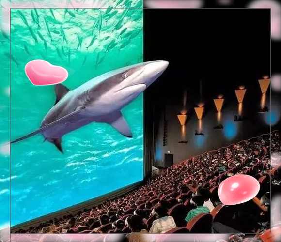 左右格式3D电影库图标