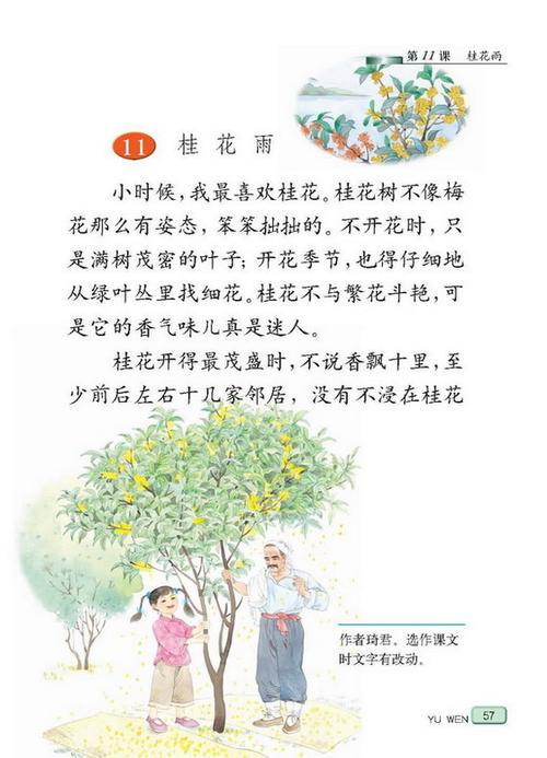 《桂花雨》七彩课堂