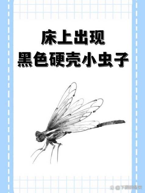床上有虫子怎么消灭最彻底图标