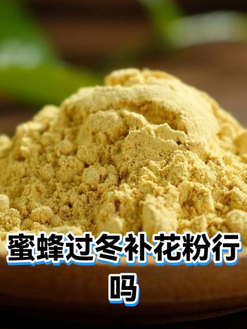 能量蜂