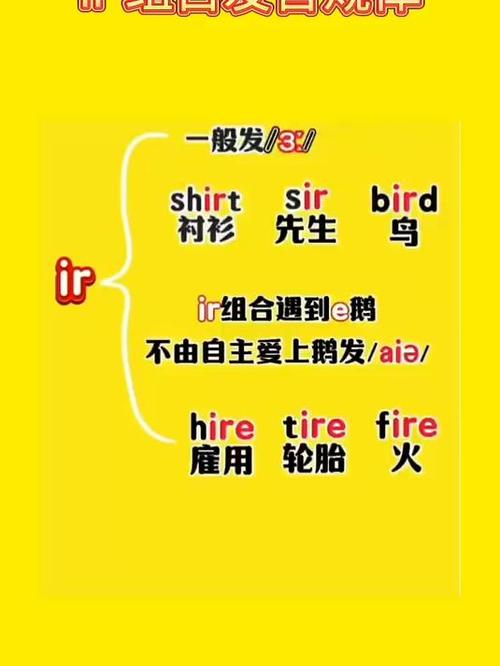 bird的ir发什么音截图