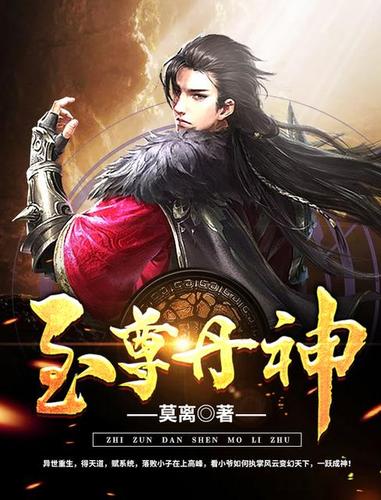 至尊丹神截图