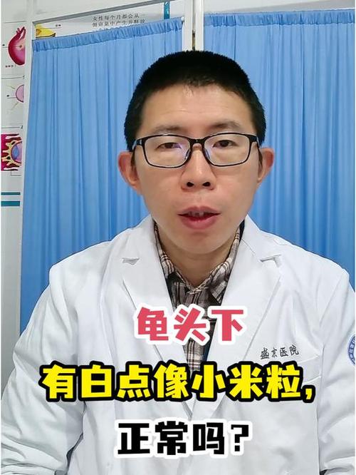 龟的头上有白斑图片