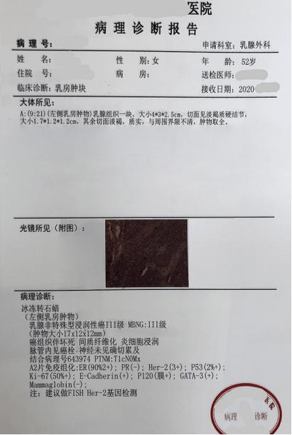 查询个人病理报告