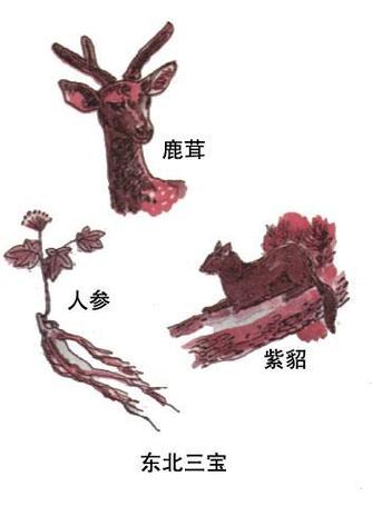男人三宝是指哪三宝