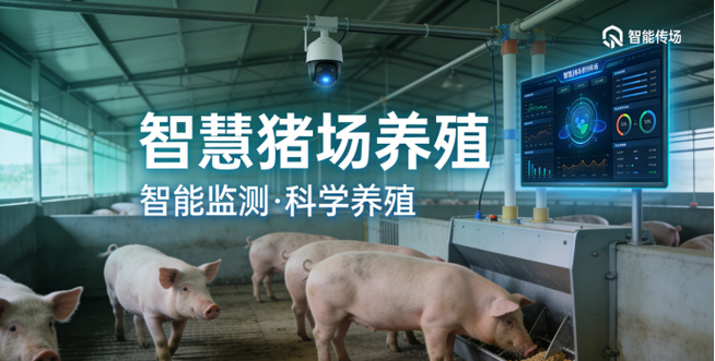 猪场需要提升什么能力