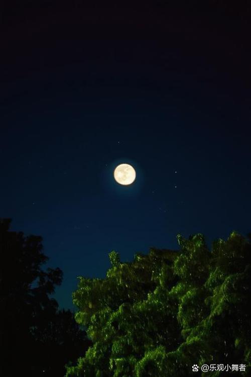 有月亮的夜景图