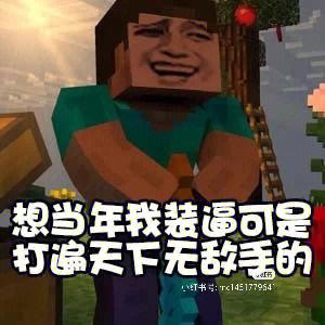 我的世界沙雕表情包