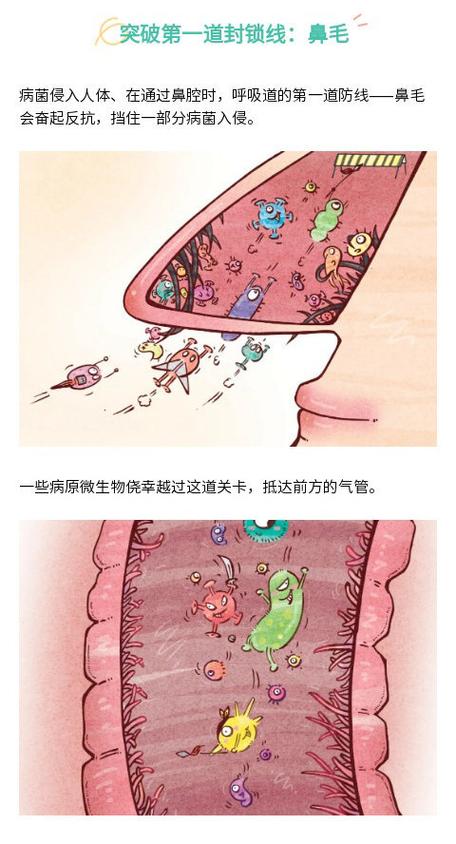 入侵人体的病毒被称为