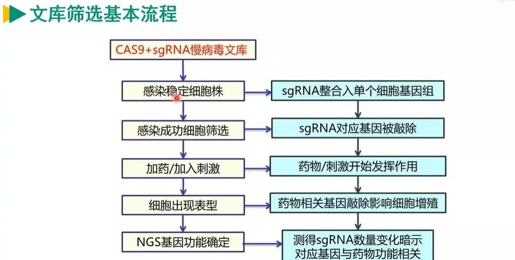 qq克隆申请后一个小时就没了