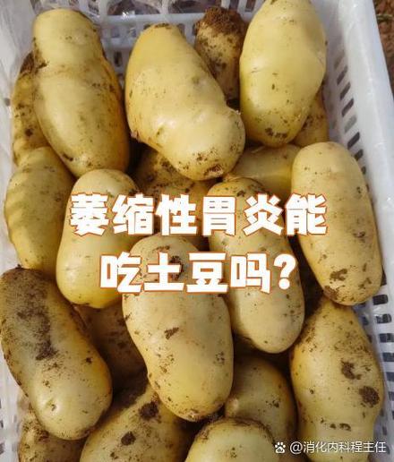 萎缩性胃炎可以吃马铃薯吗