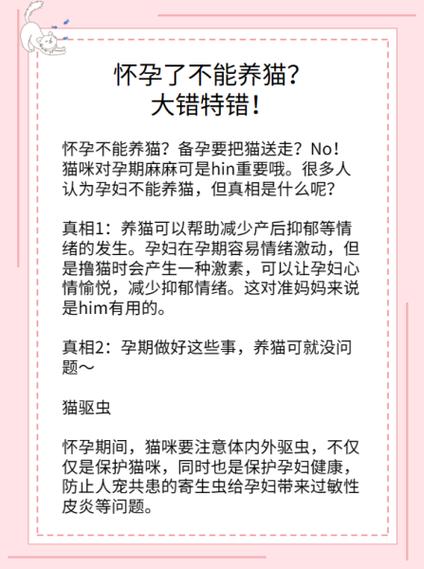 孕妇到底能不能养猫