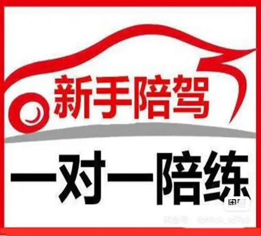 新手上路陪练