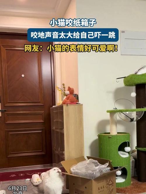 声音大点就会吓一跳