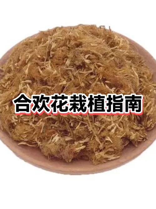 盒欢使用教程视频