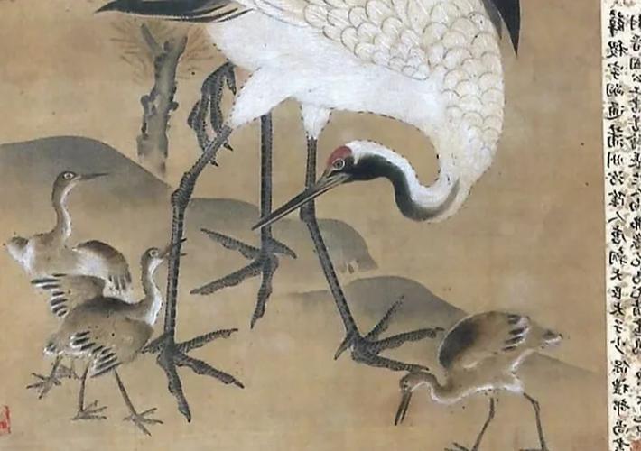 仙鹤是谁的仙鹤的主人是