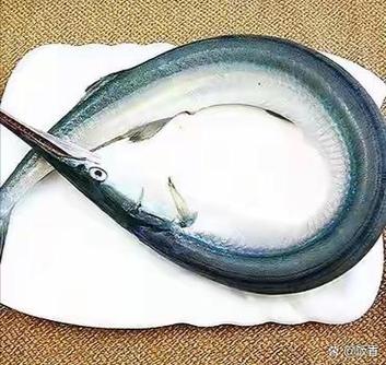青条鱼为何尽量少吃