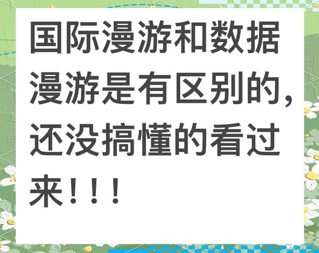数据漫游是国际漫游吗