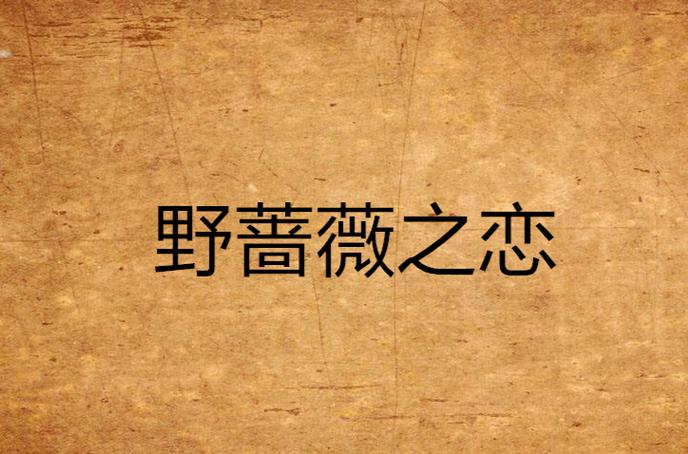 41爱情含义