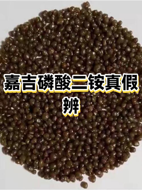 正宗和正品的区别
