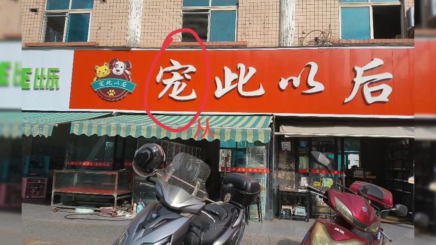 查错别字