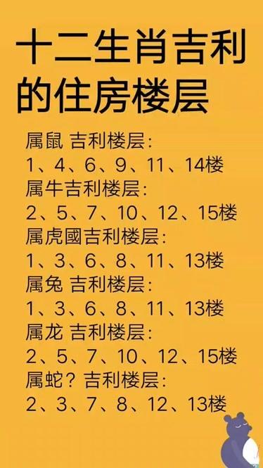 12生肖与吉祥楼层缩略图