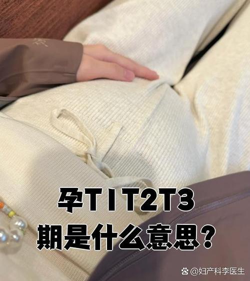 T1、T2、T3分别代表什么