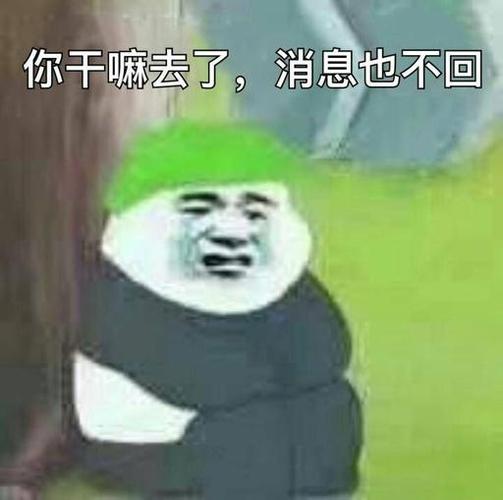 你干嘛去了表情包