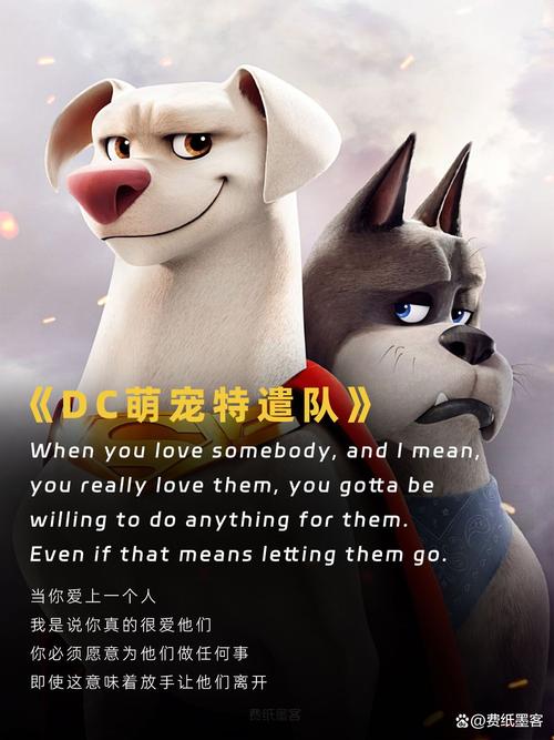 萌宠特攻单词对决图标